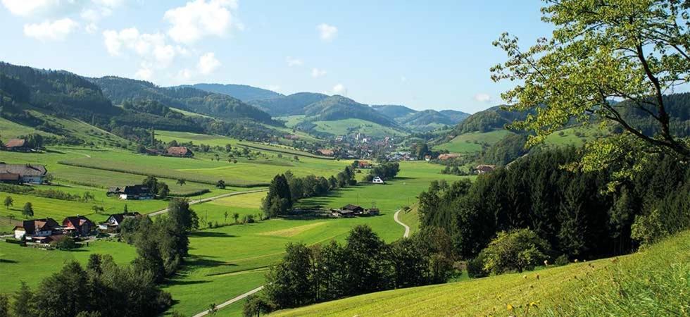 Welschensteinach Gasthaus Zum Wilden Mann מראה חיצוני תמונה